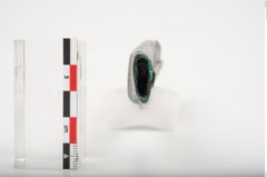 Foto von Bimetalldolchmesserscheide (NHMW-PRAE-025923)